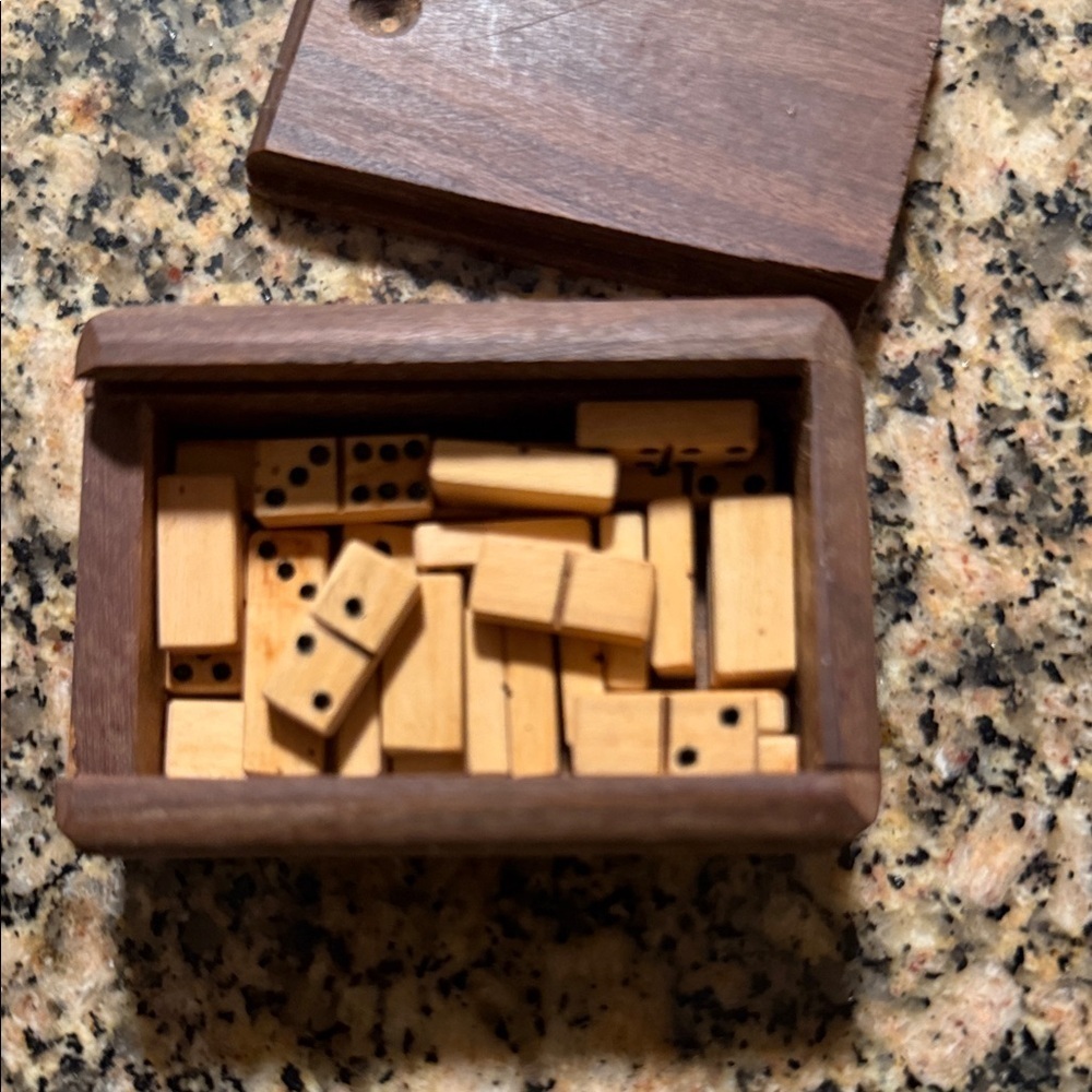 Mini Wooden Domino Set in Brown Box